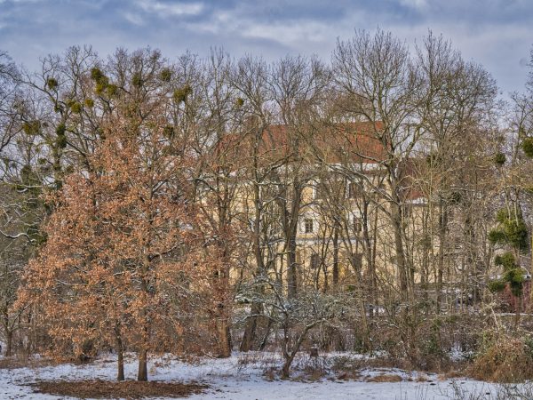 Winter auf der Wasserburg Roßlau