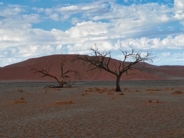 Namib-Naukluft-Park